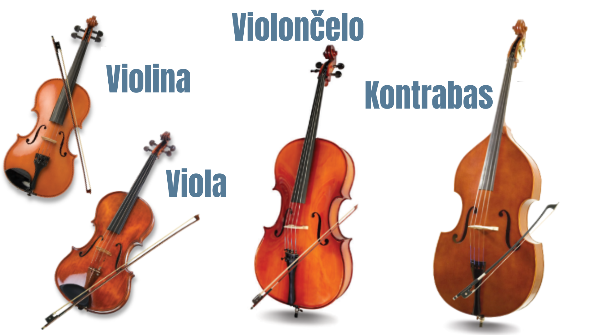 Violina viola violončelo i kontrabas